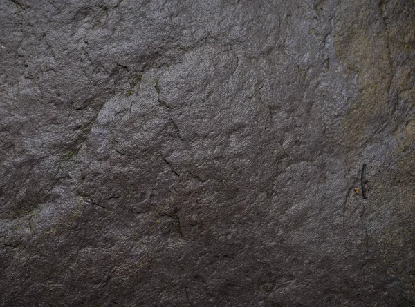 Textura de pedra molhada coberta com musgo. Imagem de fundo do macr — Fotografia de Stock