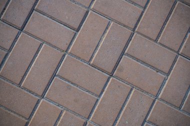 Çim ile büyümüş kaldırım levhaları Doku. Bir tabaka taşının arka plan görüntüsü