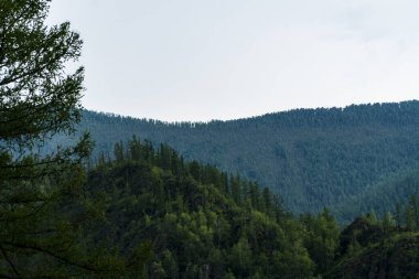 Bir dağ manzara arka plan görüntüsü. Rusya, Sibirya, Altay