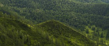Bir dağ manzara arka plan görüntüsü. Rusya, Sibirya, Altay
