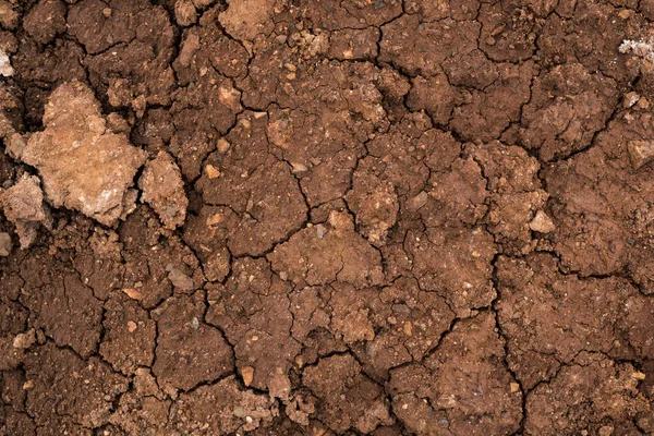 Texture of dried cracked clay. Macro background image of dried c — Stock Photo, Image