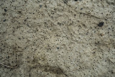 Kurutulmuş çatlak kil dokusu. Kurutulmuş c makro arka plan görüntüsü