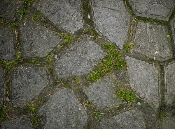 Texture of paving slabs overgrown with grass. Background image o — Stock Photo, Image