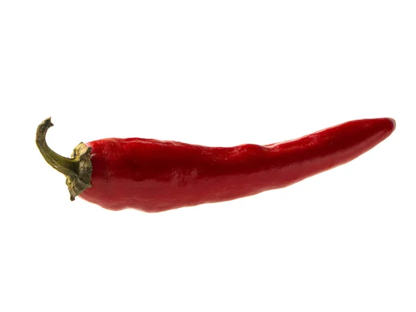 Isoliertes Objekt: scharfe rote Chilischoten — Stockfoto