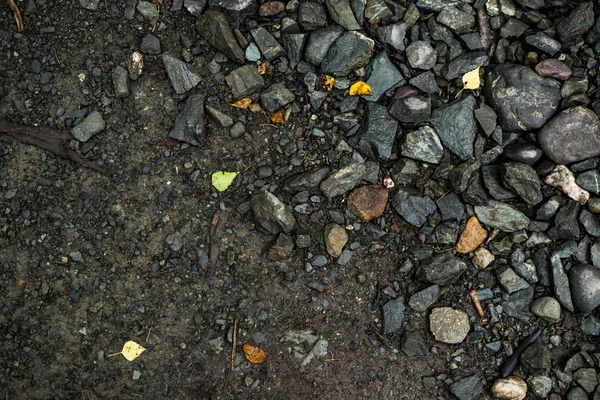 Egy sekély folyami kő textúrája. Kavicsos háttérkép — Stock Fotó