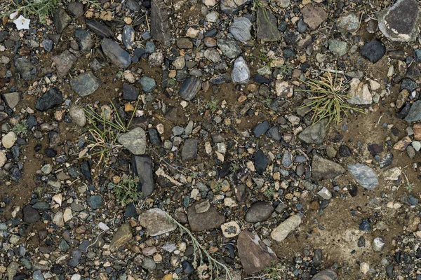 Konsistensen av fin sten på marken med gräs och blommor. — Stockfoto