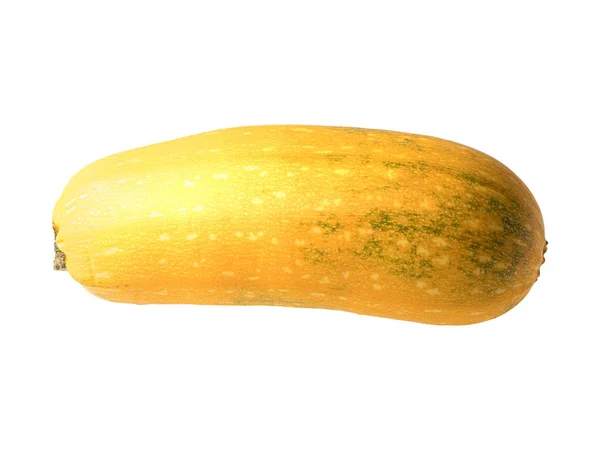 Graphic resources of isolated vegetable marrow fruit object on a — Stock Photo, Image