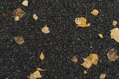 Bir asfalt yolunun grafiksel kaynakları soyut desenli arkaplanı