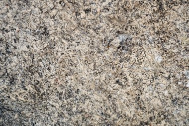 Taşın dokusu yosunla büyümüş. Arka plan görüntüsü o