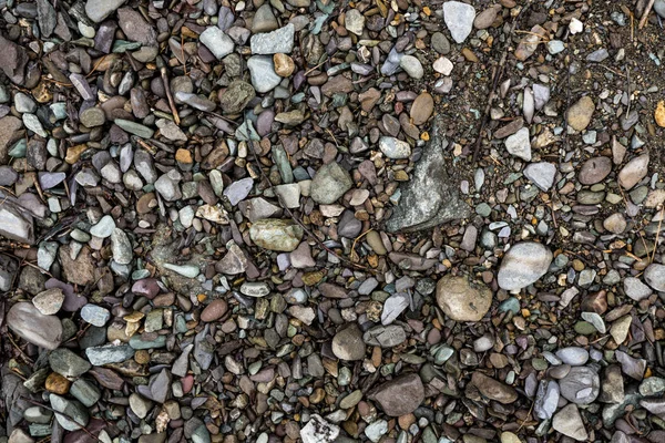 A textura de uma pedra rasa do rio. Imagem de fundo de seixo — Fotografia de Stock