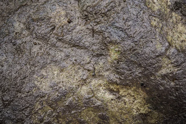 Tekstura mokrego kamienia pokryta mchem. Obraz tła MACR — Zdjęcie stockowe