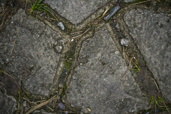 Textura de lajes de pavimentação coberto com grama. Imagem de fundo o — Fotografia de Stock