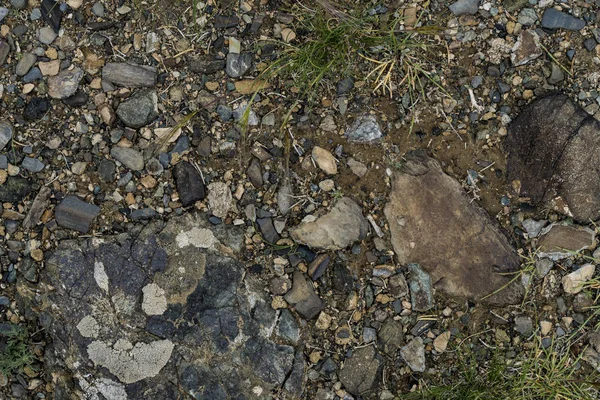 The texture of fine stone on the ground with grass and flowers.