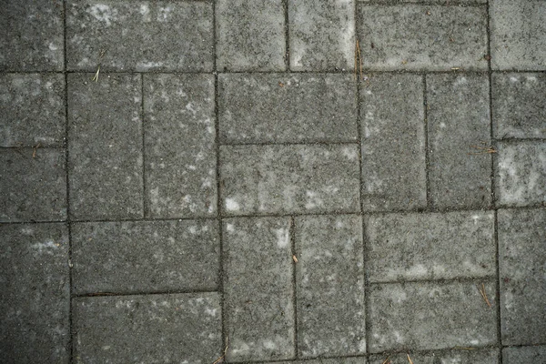 Textura de losas de pavimentación cubiertas de hierba. Imagen de fondo o —  Fotos de Stock