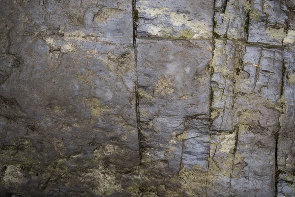 Textura de pedra molhada coberta com musgo. Imagem de fundo do macr — Fotografia de Stock