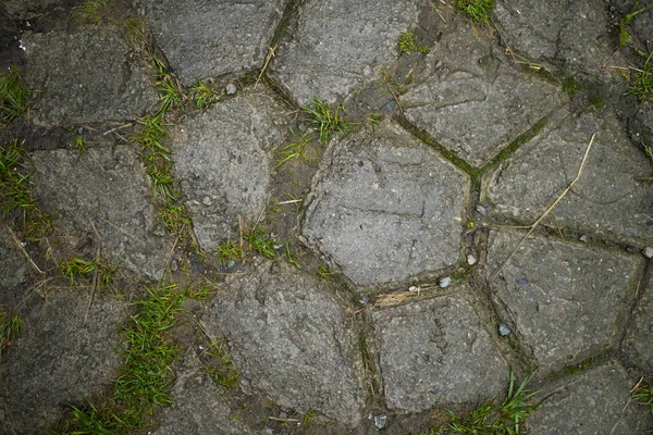 Текстура тротуарной плиты заросла травой. Фоновое изображение o — стоковое фото
