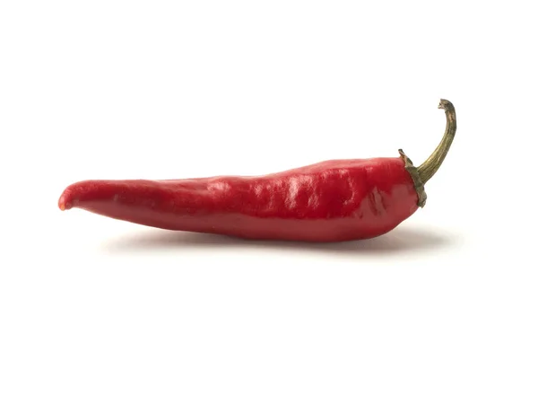 Isolated object: hot red chili peppers — Stock Photo, Image