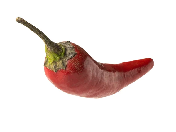 Izolovaný objekt: horká červená chilli paprika — Stock fotografie