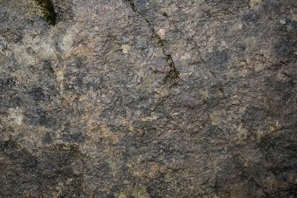 Textúra a nedves kő borított moha. Háttérkép a expanzívabb — Stock Fotó