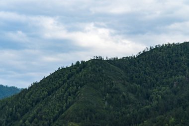 Bir dağ manzara arka plan görüntüsü. Rusya, Sibirya, Altay