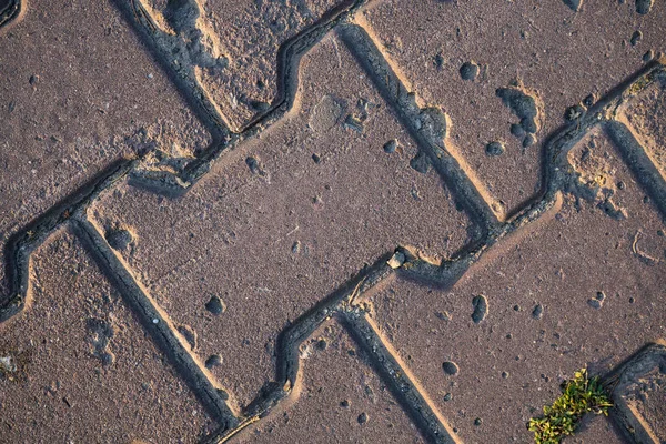 Textura Lajes Pavimentação Coberto Com Grama Imagem Fundo Uma Pedra — Fotografia de Stock