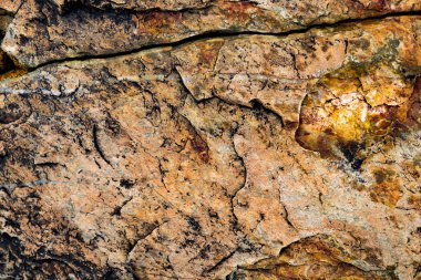 Taşın dokusu yosunla büyümüş. Arka plan görüntüsü o