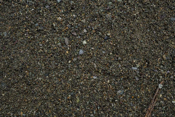 La texture d'une pierre de rivière peu profonde. Pebble Image de fond — Photo