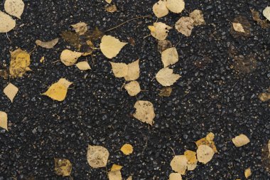 Bir asfalt yolunun grafiksel kaynakları soyut desenli arkaplanı