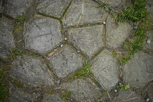 Texture of paving slabs overgrown with grass. Background image o — Stock Photo, Image