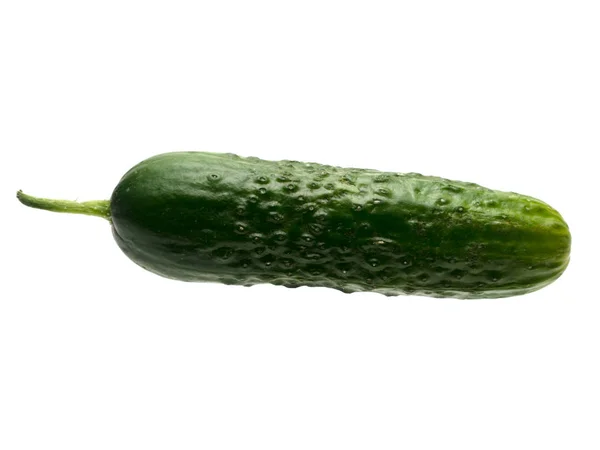 Grafische rijkdommen geïsoleerd object van komkommer op een witte backgro — Stockfoto