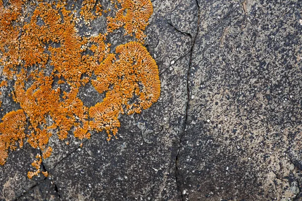 La textura de la piedra cubierta de musgo. Imagen de fondo o — Foto de Stock