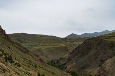 Bir dağ manzara arka plan görüntüsü. Rusya, Sibirya, Altay