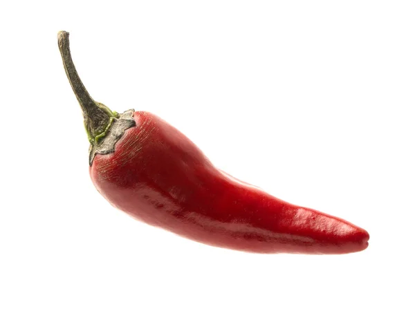 Isoliertes Objekt: scharfe rote Chilischoten — Stockfoto