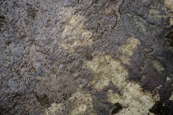 Struktura mokrého kamene pokrytá mechem. Obrázek pozadí s makrem — Stock fotografie