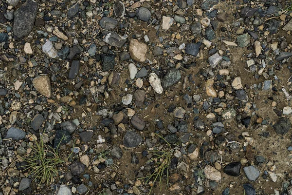 The texture of fine stone on the ground with grass and flowers.