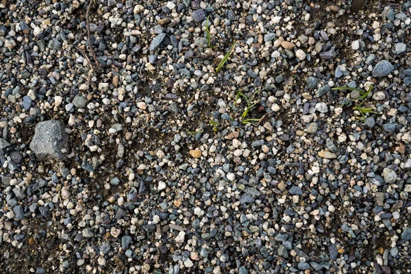 Strukturen på en grund flod sten. Pebble bakgrundsbild — Stockfoto