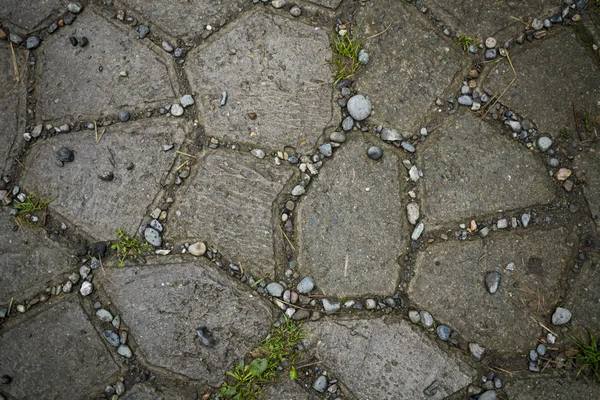 Texture of paving slabs overgrown with grass. Background image o — Stock Photo, Image