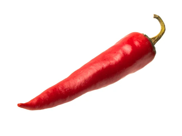 Objeto isolado: pimentas vermelhas quentes — Fotografia de Stock