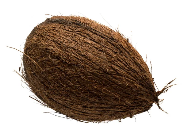Графические ресурсы изолированного кокосового объекта на белом бэкге — стоковое фото