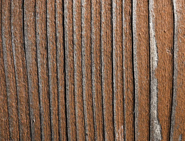 Texture of old wood. Background image. Macro photo — Stock Photo, Image