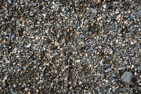 A textura de uma pedra rasa do rio. Imagem de fundo de seixo — Fotografia de Stock