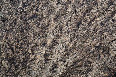 Taşın dokusu yosunla büyümüş. Arka plan görüntüsü o