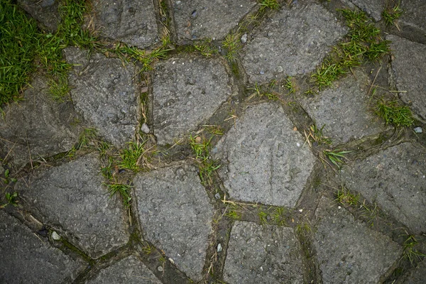 Texture of paving slabs overgrown with grass. Background image o — Stock Photo, Image