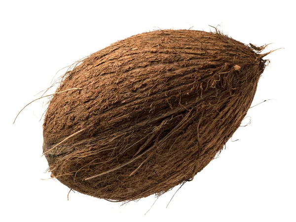 Графические ресурсы изолированного кокосового объекта на белом бэкге — стоковое фото