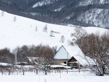 Landscape mountain village covered with snow