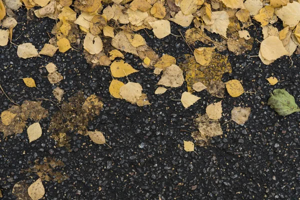 Recursos gráficos fondo texturizado abstracto de un asfalto roa —  Fotos de Stock