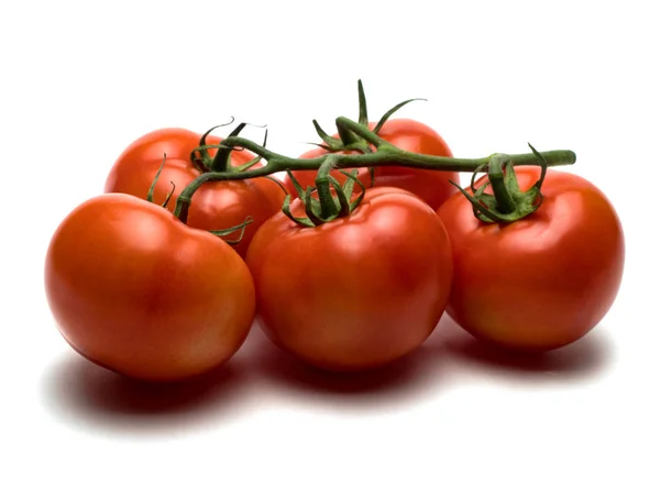 Grafické zdroje izolovaný objekt zeleninové rajče — Stock fotografie