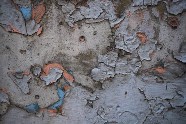 Boya ile kaplı eski bir duvarın dokusu. Bir arka plan görüntüsü