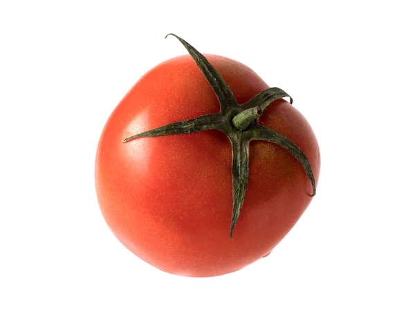 Risorse grafiche oggetto isolato pomodoro vegetale — Foto Stock