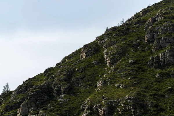 Bir dağ manzara arka plan görüntüsü. Rusya, Sibirya, Altay